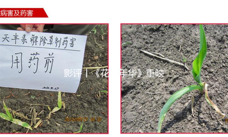 影评丨《花样年华》重映：一场新鲜的怀旧