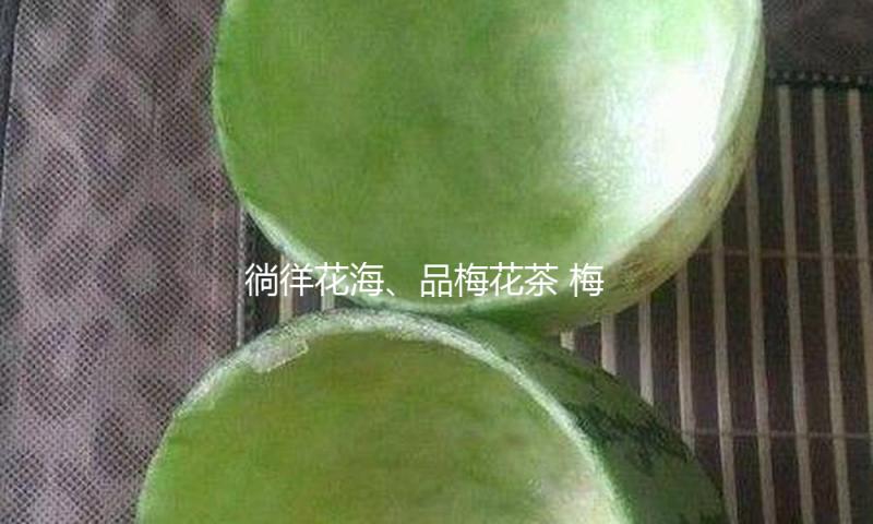 徜徉花海、品梅花茶 梅花盛放催热“赏花经济”