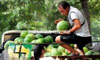 尹锡悦将缺席4日的弹劾案宣判 — 新京报