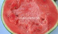 小S反击汪小菲为大S包机风闻：人在做天在看