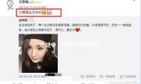 应健中：商场可操作性较好 多角度寻觅盈余时机