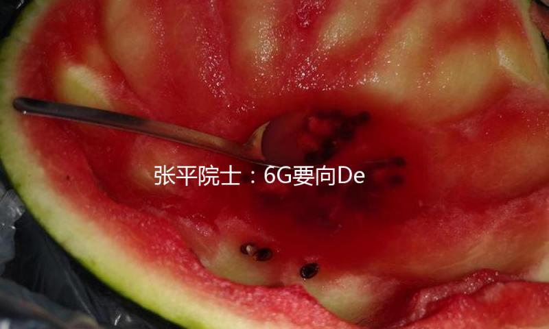 张平院士：6G要向DeepSeek学习，从企业需求动身做立异 — 新京报