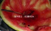 张平院士：6G要向DeepSeek学习，从企业需求动身做立异 — 新京报