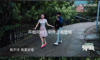 并肩同行！听外企高管畅谈出资我国心声