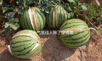 那些气氛佳人除了穿得美观，这一点也超级加分