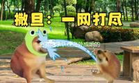 金赛纶承认在海外成婚的录音曝光，泄漏曾堕胎！