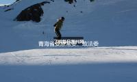 青海省委原常委、政法委原书记杨发森被拘捕 — 新京报
