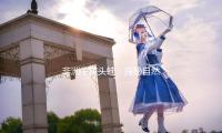 非洲牛箱头蛙：探秘自然奇观，享受轻松的吃瓜娱乐时光