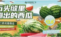 韩国政坛将迎激荡一周：尹锡悦、韩德洙、李在明案或宣判