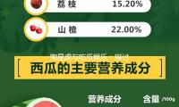 陶星虎与吃瓜娱乐：探讨积极人生观，启发青年新思维