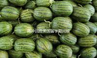 陈冲回应美国留学期间被性侵：十分想去忘掉的羞耻