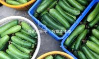 腾讯刘炽平：方案本年添加本钱开销，预期占收入低两位数百分比 — 新京报