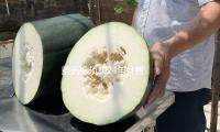 腾讯视频2024年付费会员数达1.13亿 — 新京报