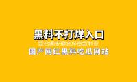 联合国安理会斥责叙利亚暴力抵触