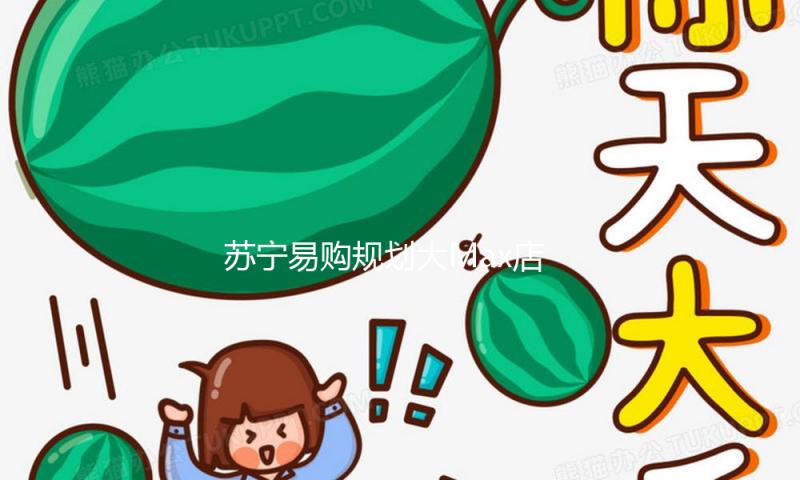 苏宁易购规划大Max店落子北京 本年京津冀将新开12家大型门店 — 新京报