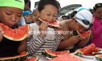 蛇年春节档特效量和片长破纪录，票补上场“加量不加价”｜业内谈