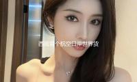 西藏首个航空口岸世界货站经过检验
