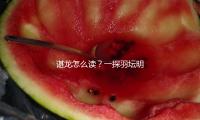 谌龙怎么读？一探羽坛明星的奋斗历程与吃瓜娱乐的热潮