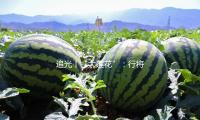 追光丨“大莲花”：行将发明前史 等待见证成功
