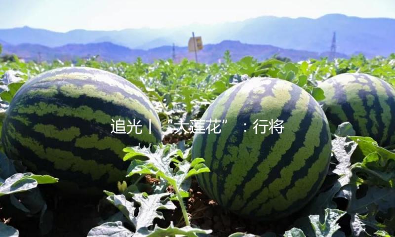 追光丨“大莲花”：行将发明前史 等待见证成功