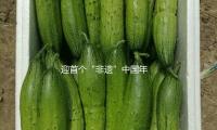 迎首个“非遗”中国年 美团游览：“灯展庙会”热度上涨近2倍 — 新京报