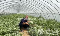 这波于正赌对了吗，把短剧当正剧拍，服化道砸重资，艺人高颜值