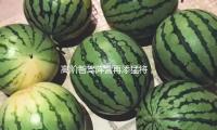 高阶智驾阵营再添猛将，传祺神往车系重磅反击