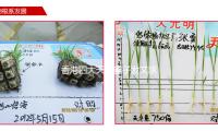 香港四大天王妻子发文求助：刚到，包就被抢了，定位在意大利米兰