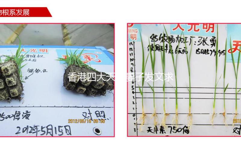 香港四大天王妻子发文求助：刚到，包就被抢了，定位在意大利米兰