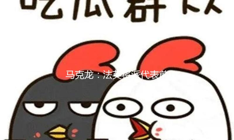 马克龙：法英将派代表前往乌克兰评论乌军建造事宜 — 新京报