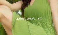 龙虎榜机构新动向：净买入12股 净卖出13股