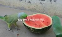 黄俊捷能不能出来自己认一个真嫂子啊？