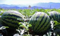 44岁熊黛林被富豪老公偷拍，皮肤白嫩润滑冷艳全网！网友：状况绝了