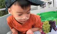 China’s foreign economic relations in 2024: trade, investment, and growth