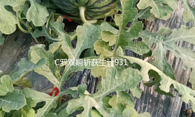 C罗双响斩获生计931球 利雅得成功客场告捷 — 新京报
