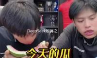 DeepSeek刷屏之后：人机共创时代，还有什么不行代替？ — 新京报