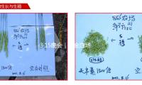 3·15晚会｜五金商场公开售卖非标电线电缆 — 新京报