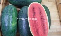 1089.6亿元！我国科幻工业接连两年破千亿元