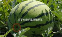 37岁俞灏明高调示爱王晓晨，可是真的好甜！
